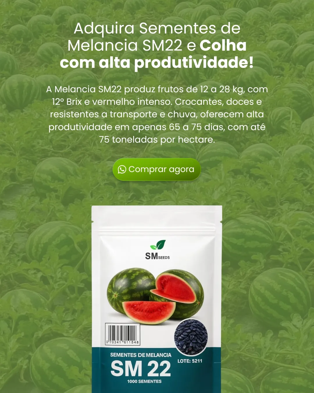Adquira Sementes de Melancia SM22 e Colha com alta produtividade!